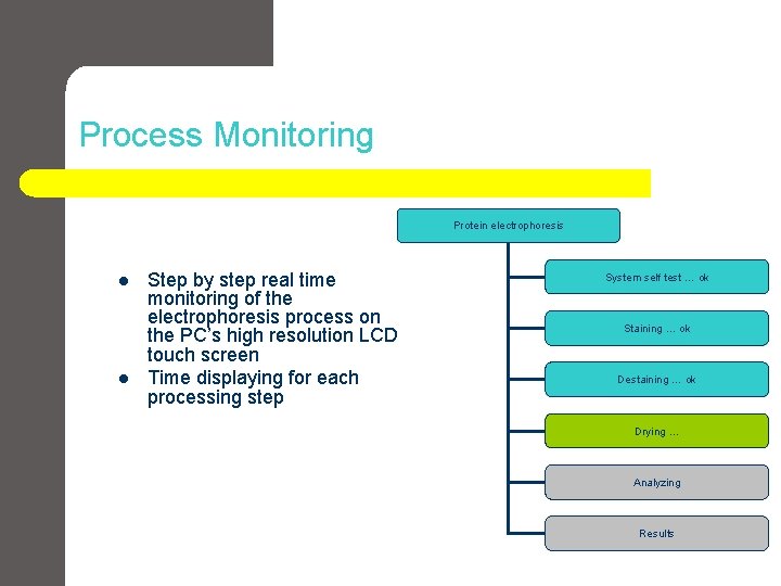 Process Monitoring Protein electrophoresis l l Step by step real time monitoring of the Process Monitoring Protein electrophoresis l l Step by step real time monitoring of the