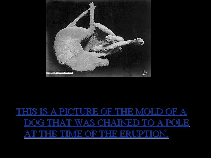 THIS IS A PICTURE OF THE MOLD OF A DOG THAT WAS CHAINED TO