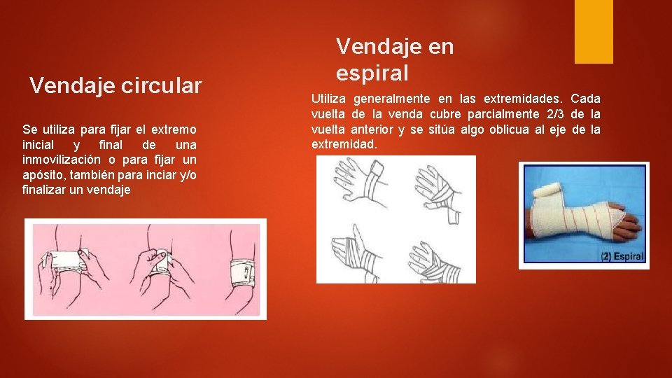 Vendaje circular Se utiliza para fijar el extremo inicial y final de una inmovilización Vendaje circular Se utiliza para fijar el extremo inicial y final de una inmovilización