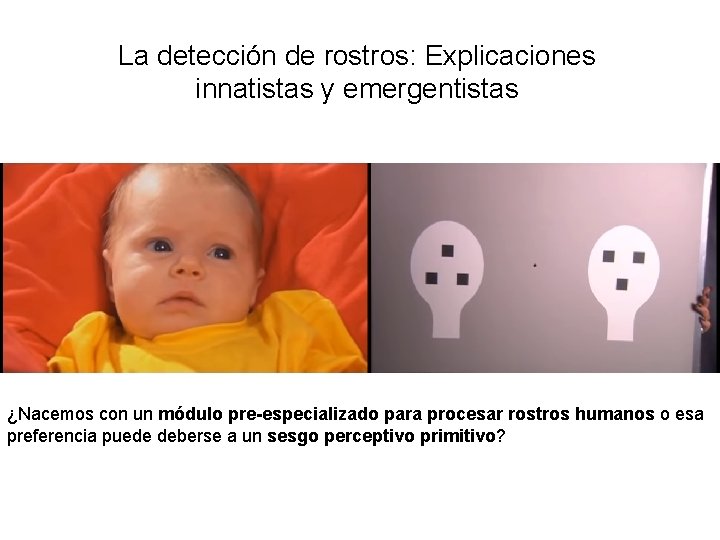 La detección de rostros: Explicaciones innatistas y emergentistas ¿Nacemos con un módulo pre-especializado para