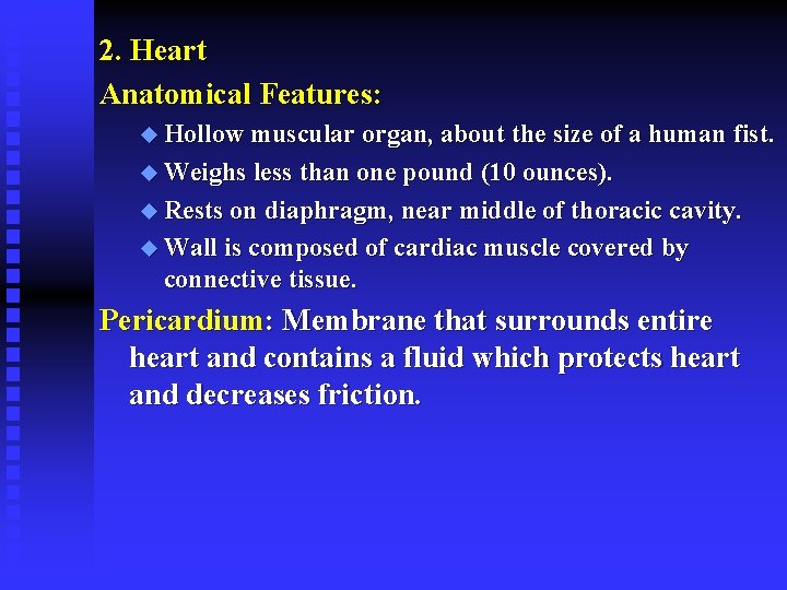 2. Heart Anatomical Features: u Hollow muscular organ, about the size of a human