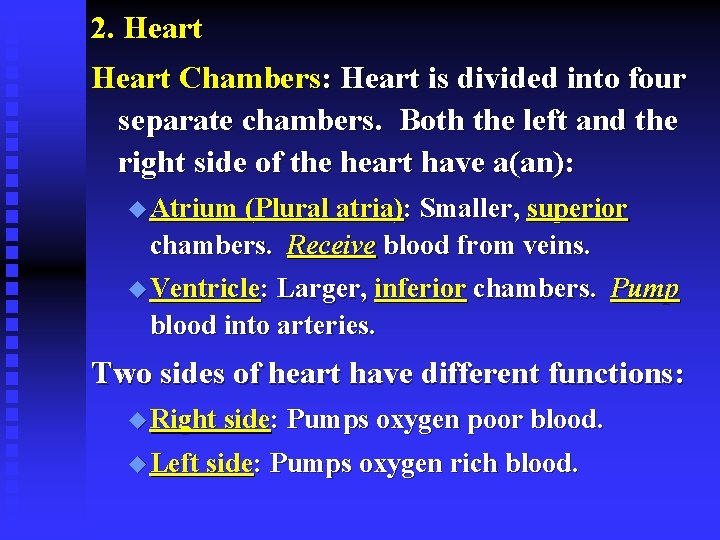2. Heart Chambers: Heart is divided into four separate chambers. Both the left and