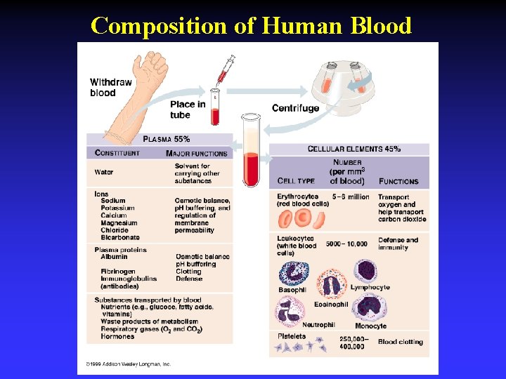 Composition of Human Blood 