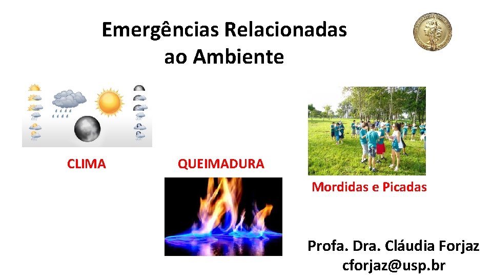 Emergências Relacionadas ao Ambiente CLIMA QUEIMADURA Mordidas e Picadas Profa. Dra. Cláudia Forjaz cforjaz@usp.