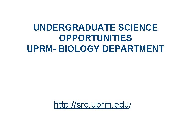 UNDERGRADUATE SCIENCE OPPORTUNITIES UPRM- BIOLOGY DEPARTMENT http: //sro. uprm. edu/ 