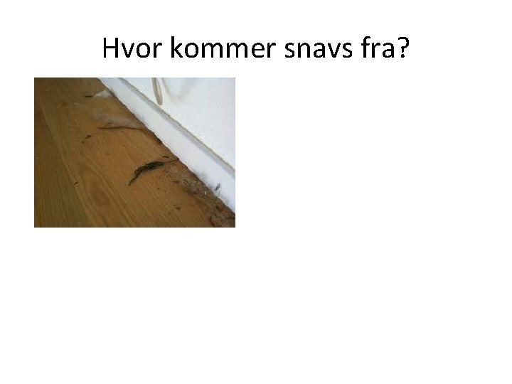 Hvor kommer snavs fra? 