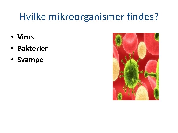 Hvilke mikroorganismer findes? • Virus • Bakterier • Svampe 