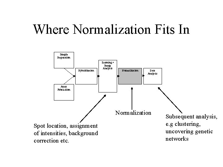 Normalization For Micro Arrays A Tutorial Introduction David