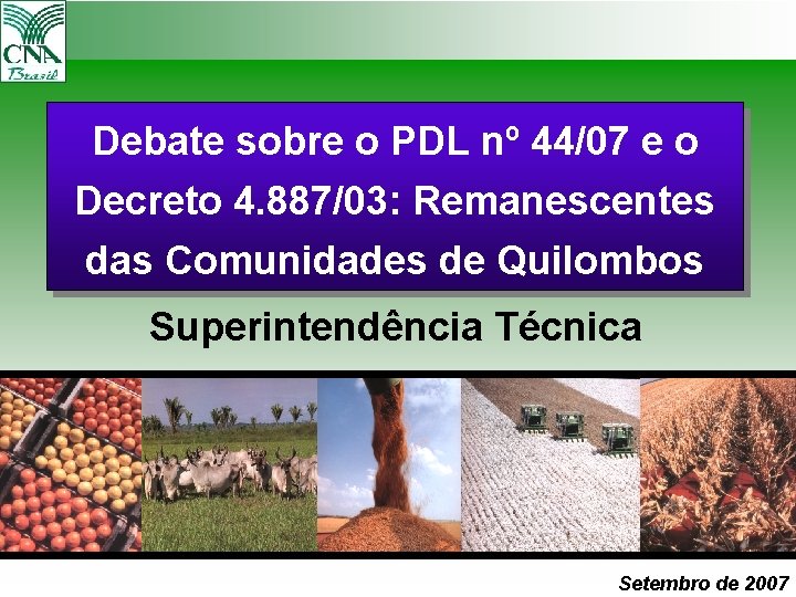 Debate sobre o PDL nº 44/07 e o Decreto 4. 887/03: Remanescentes das Comunidades