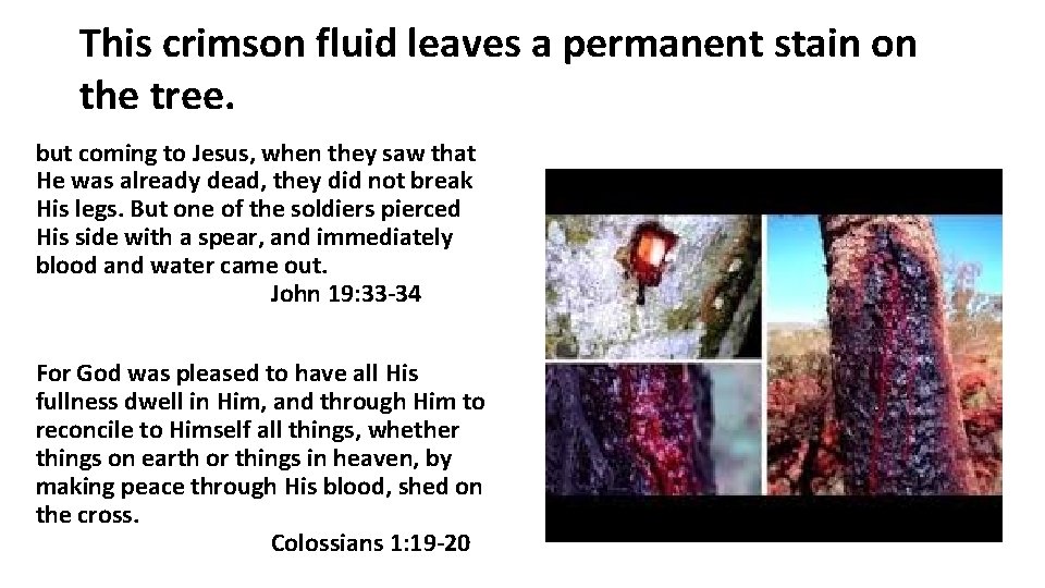 This crimson fluid leaves a permanent stain on the tree. but coming to Jesus,