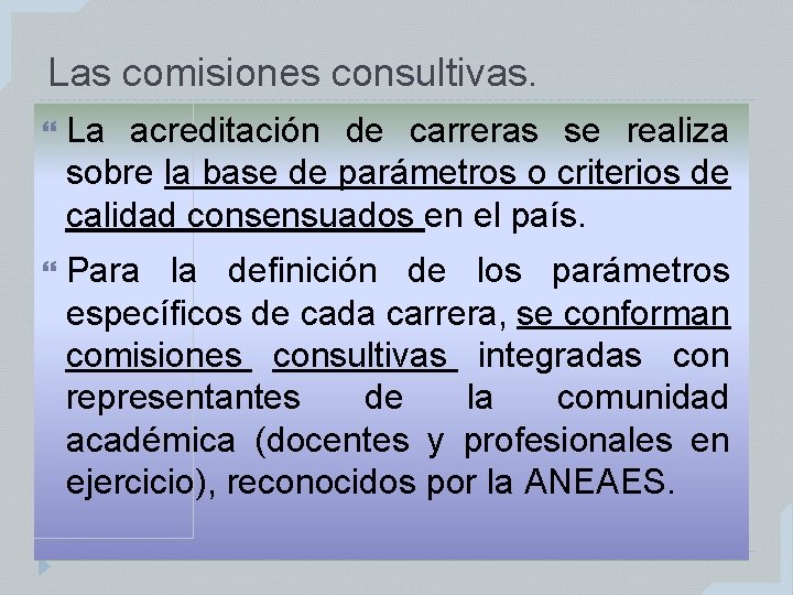 Las comisiones consultivas. La acreditación de carreras se realiza sobre la base de parámetros