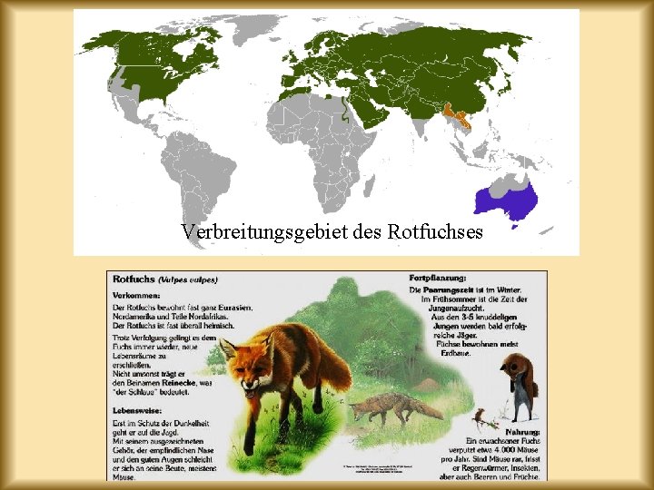 Verbreitungsgebiet des Rotfuchses 