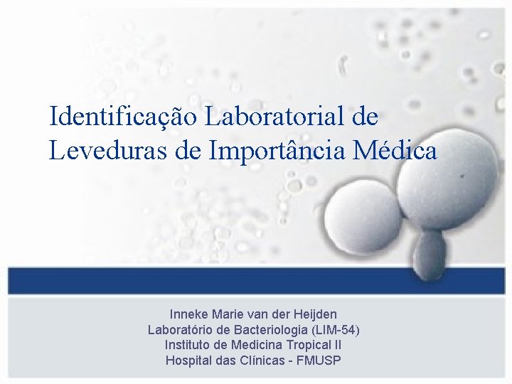 Identificação Laboratorial de Leveduras de Importância Médica Inneke Marie van der Heijden Laboratório de