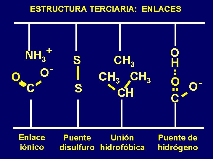 ESTRUCTURA TERCIARIA: ENLACES O + NH 3 O S C S Enlace iónico CH