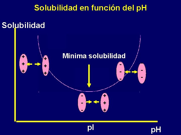Solubilidad en función del p. H Solubilidad + + + Mínima solubilidad - -