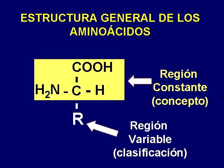 ESTRUCTURA GENERAL DE LOS AMINOÁCIDOS COOH H 2 N - C - H R