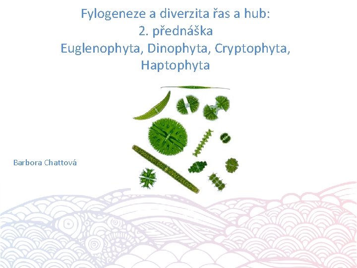 Fylogeneze a diverzita řas a hub: 2. přednáška Euglenophyta, Dinophyta, Cryptophyta, Haptophyta Barbora Chattová