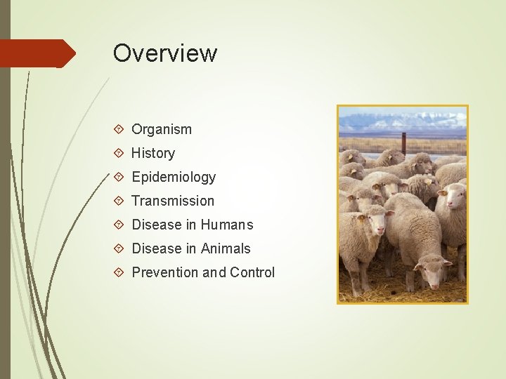 Overview Organism History Epidemiology Transmission Disease in Humans Disease in Animals Prevention and Control