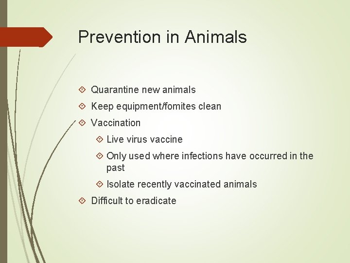 Prevention in Animals Quarantine new animals Keep equipment/fomites clean Vaccination Live virus vaccine Only