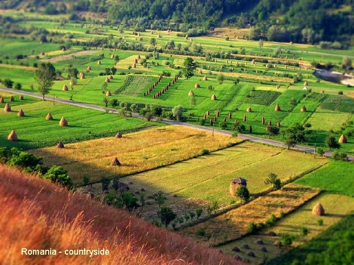 Romania - countryside 