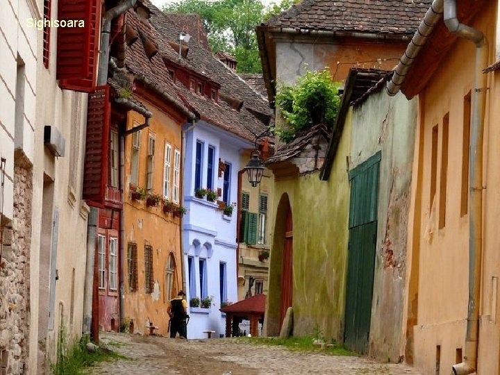 Sighisoara 