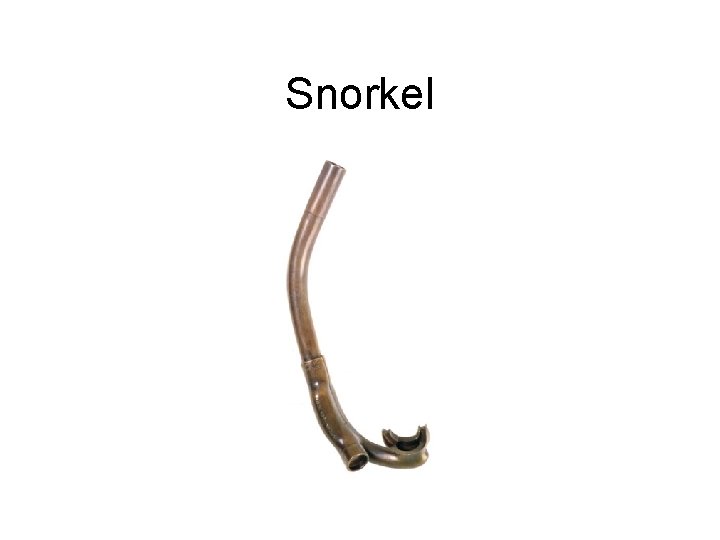 Snorkel 