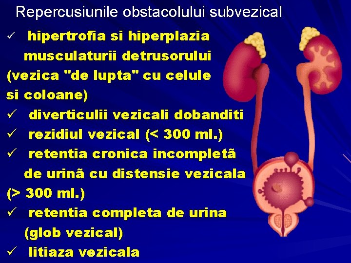glob vezical tratament)