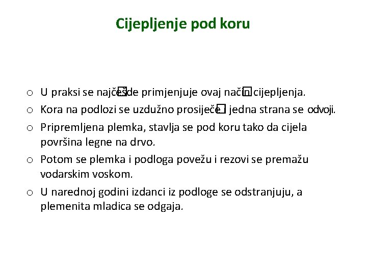 Cijepljenje pod koru o U praksi se najč� ešde primjenjuje ovaj nač� in cijepljenja.