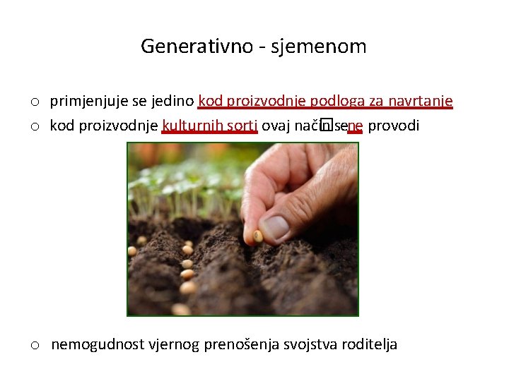 Generativno - sjemenom o primjenjuje se jedino kod proizvodnje podloga za navrtanje o kod