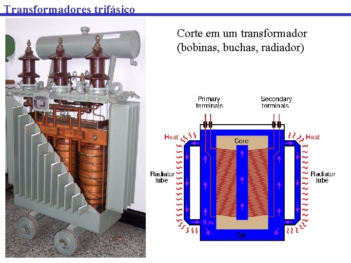 Transformadores trifásico Corte em um transformador (bobinas, buchas, radiador) 