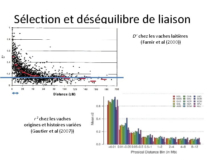 Sélection et déséquilibre de liaison D’ chez les vaches laitières (Farnir et al (2000))