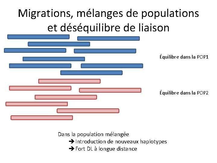 Migrations, mélanges de populations et déséquilibre de liaison Équilibre dans la POP 1 Équilibre