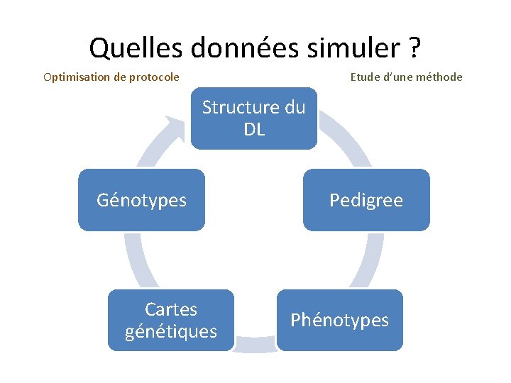 Quelles données simuler ? Optimisation de protocole Etude d’une méthode Structure du DL Génotypes