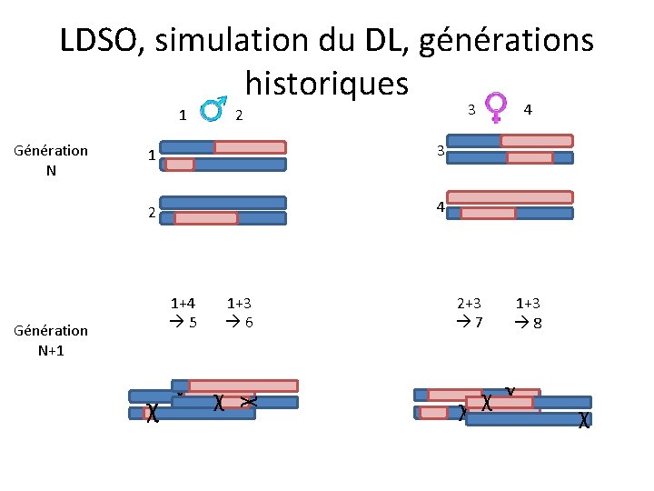 LDSO, simulation du DL, générations historiques 1 Génération N+1 2 1 3 2 4