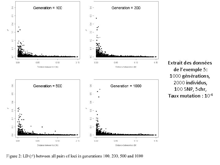 Extrait des données de l’exemple 5: 1000 générations, 2000 individus, 100 SNP, 5 chr,