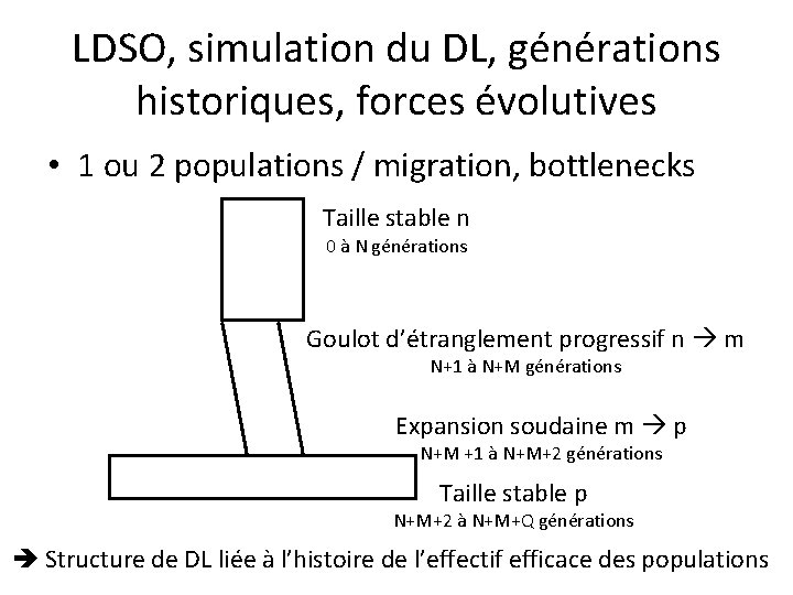 LDSO, simulation du DL, générations historiques, forces évolutives • 1 ou 2 populations /