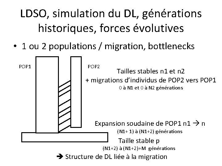 LDSO, simulation du DL, générations historiques, forces évolutives • 1 ou 2 populations /