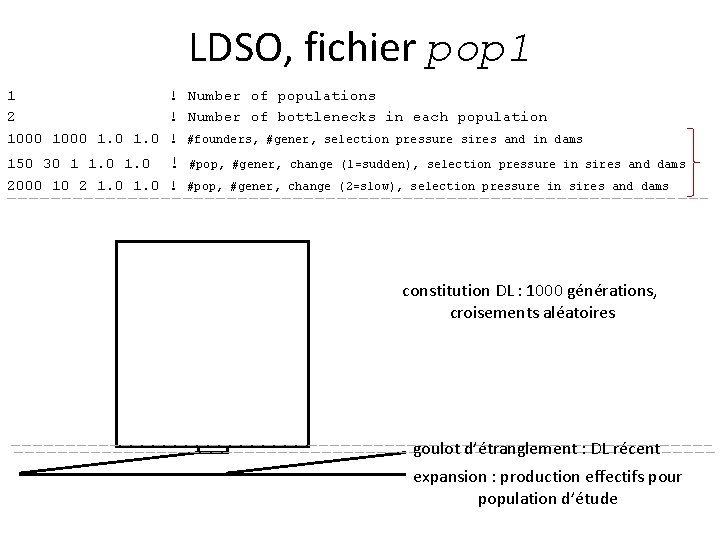 LDSO, fichier pop 1 1 ! Number of populations 2 ! Number of bottlenecks