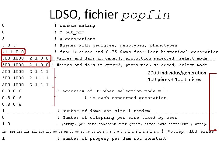 LDSO, fichier popfin 0 0 5 5 3 5. 1 1 0 0 500