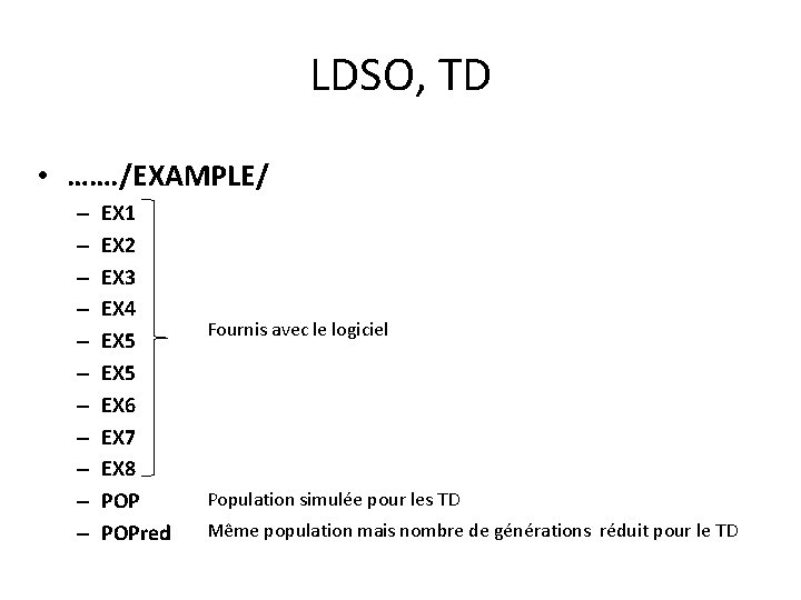 LDSO, TD • ……. /EXAMPLE/ – – – EX 1 EX 2 EX 3