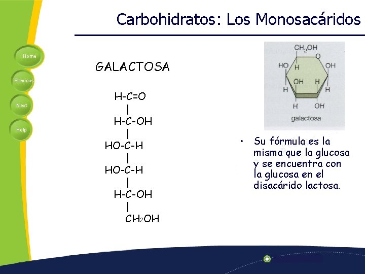 Carbohidratos: Los Monosacáridos Home GALACTOSA Previous Next Help H-C=O | H-C-OH | HO-C-H |