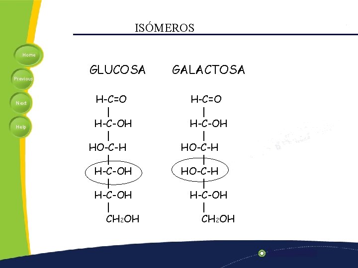 ISÓMEROS Home Previous Next Help GLUCOSA H-C=O | H-C-OH | HO-C-H | H-C-OH |