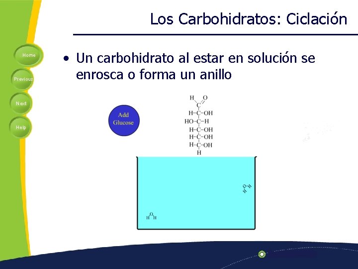 Los Carbohidratos: Ciclación Home Previous Next Help • Un carbohidrato al estar en solución