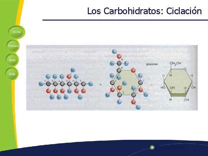 Los Carbohidratos: Ciclación Home Previous Next Help 