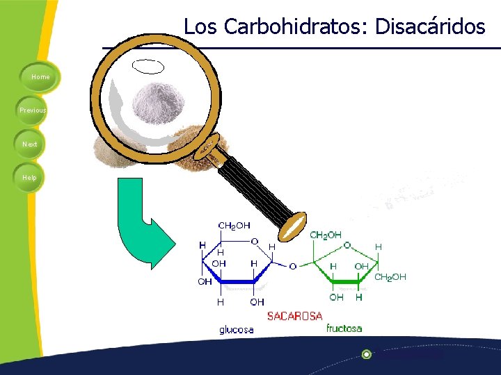Los Carbohidratos: Disacáridos Home Previous Next Help 