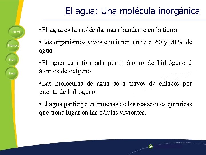 El agua: Una molécula inorgánica Home Previous Next Help • El agua es la