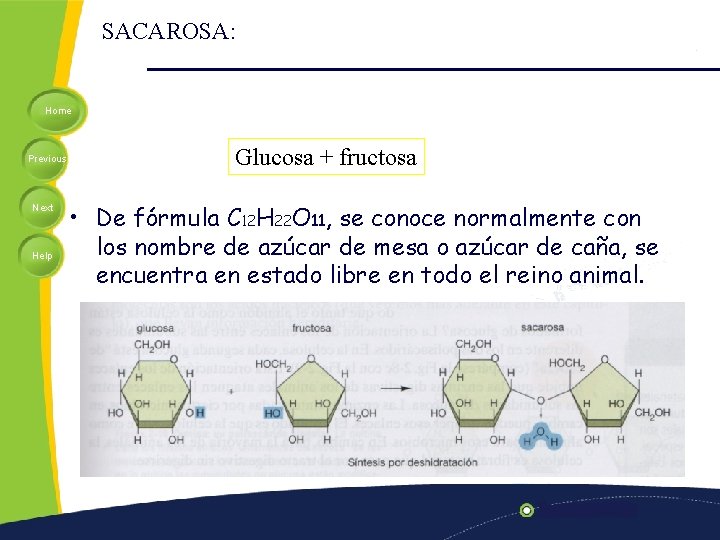 SACAROSA: Home Previous Next Help Glucosa + fructosa • De fórmula C 12 H