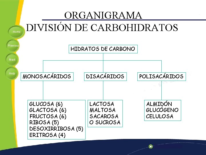 Home Previous ORGANIGRAMA DIVISIÓN DE CARBOHIDRATOS DE CARBONO Next Help MONOSACÁRIDOS GLUCOSA (6) GLACTOSA