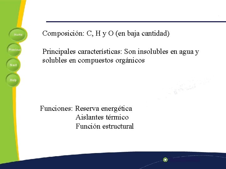 Home Previous Next Composición: C, H y O (en baja cantidad) Principales características: Son