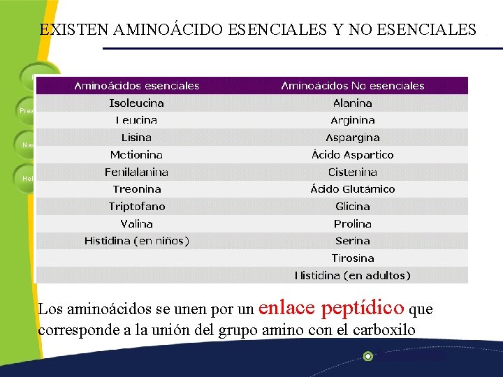EXISTEN AMINOÁCIDO ESENCIALES Y NO ESENCIALES Home Previous Next Help Los aminoácidos se unen